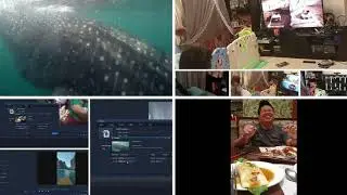 How to remove audio from video using Wondershare Video Editor app