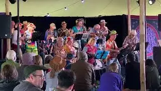 Stray Cat Strut - Buckingham Ukulele Group. 27/8/2023 Towersey Festival