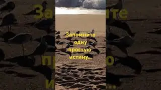 ЗАПОМНИТЕ ОДНУ ПРОСТУЮ ИСТИНУ 🤔