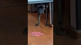 Осознание…