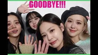 BLACKPINK FINALLY DISBANDED??? | FAN REACTIONS