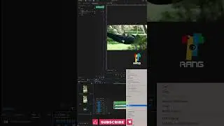 show audio waveform in premiere / Show the audio file in Premiere