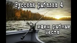 РР4 | Катушка и премы в рулетке | Ловим рыбу мечты