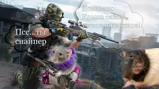 Бот зашел на паблик епте!