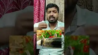 Save Bird by feeding water. #SaveBirds  #pomtoyanurag #animallover  #rescuebird #birdlovers