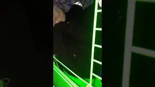 Смузи и красотуны