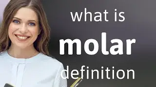 Molar • what is MOLAR meaning