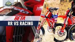 Tested: Beta RR vs RR Racing Models