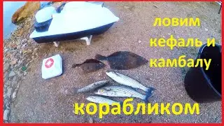 ловим с берега кефаль и камбалу в Черном море корабликом