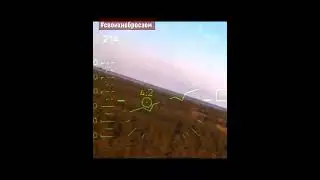 Работа "Алигатора" Видео звезды.  #Zанаших