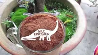[Deer Sarah Productions] How to Make Milo Dinosaur.