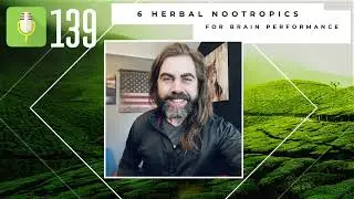 6 Powerful Nootropic Herbs - and the best ways to use them