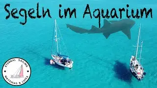 Segeln zwischen HAIEN, ROCHEN und SCHILDKRÖTEN ! 🦈 Die Exumas sind krass…