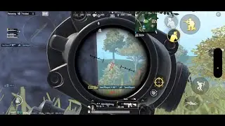 Tournament & Scrims HIGHLIGHTS #31