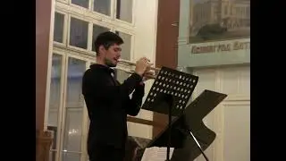 Музыкальный Концерт классической музыки. Картинный зал. СПб сент.2022 г.