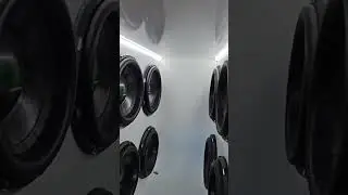 10 x Deaf bonce 3515