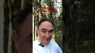Страшилки следствия 2 #адвокатпоуголовнымделам #уголовноедело #адвокат #адвокаттатаринов