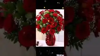 صور ورد احمر يخبل مع اغنيه تركيه
