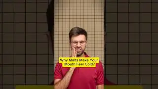 Why Does Mint Taste Cold?