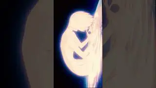 The End of Evangelion (Porter Robinson - Goodbye To A World)