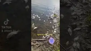 вот до  чего доводит электроудочка😔😔😔😔