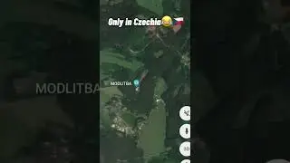 Real or Fake?!