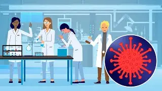 Innovation in the face of COVID-19