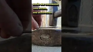 ВТОРАЯ ЖИЗНЬ⏳️