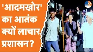 Behraich समेत यूपी के कई जिलों में 'आदमखोर' का आतंक, क्यों लाचार प्रशासन? | UP News |