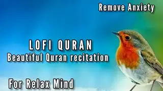 lofi quran for sleep|quran peaceful recitation|lofi quran theme|