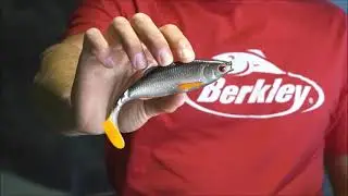 Berkley Pulse Realistic