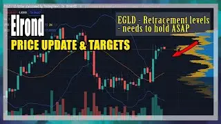 Elrond Price Prediction 2025 |  REALISTIC Price Prediction | Elrond Will Make MILLIONAIRE By 2025