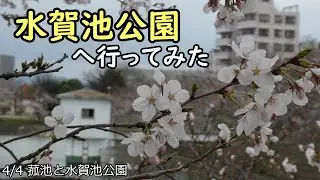 2024年  水賀池公園へ行ってみた 20240404菰池と水賀池公園
