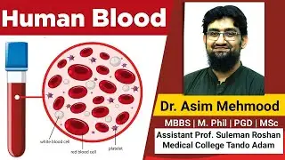 Human Blood / Composition / Cells / Functions Made Easy ( Hindi / Urdu )