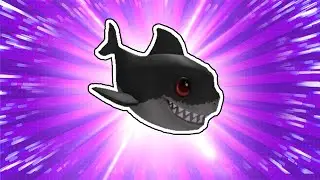 How To Get BLUEBERRY SHARK BUDDY