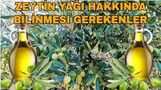 ZEYTİN YAĞI ALIRKEN NELERE DİKKAT ETMELİYİZ~ZEYTİN YAĞI HAKKINDA BİLİNMESİ GEREKENLER