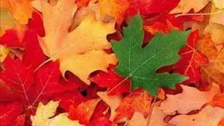 Vivaldi, Autumn