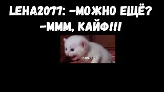 LEHA2077 просит добавки у ink mate
