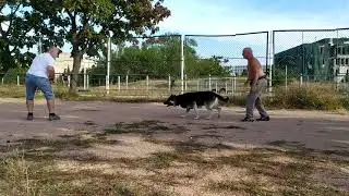 Чара, 10 занятие-1