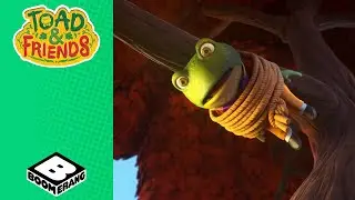 Superstar Toad! | Toad and Friends | @BoomerangUK