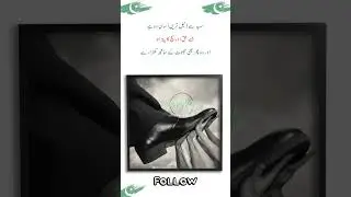 سب سے ذلیل ترین انسان وہ ہےجسے حق اور سچ کا پتہ ہواور وہ پھر بھی جھوٹ کے ساتھ کھڑا رہے.