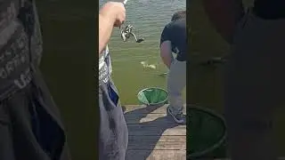 Берег Места отдыха.