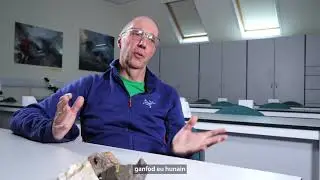 Hanes Naturiol yn Brifysgol De Cymru