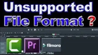 How to Fix unsupported audio format in Filmora