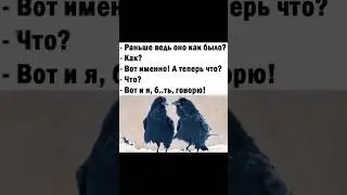 Живые мемы ✨ 