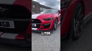 REMAPPED 5.0 STRAIGHT PIPED MUSTANG IS INSANE