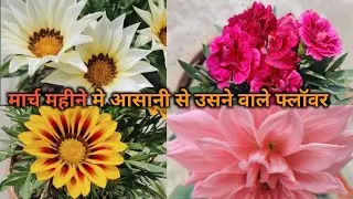 मार्च महीने मे होने वाले प्लांट  March month mai hone wale flowers #vloggermohit26 #flowers #kitchen