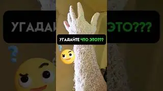 УГАДАЙТЕ ЧТО ЭТО???