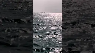 The sound of the wind and the sea at sunrise #searelaxation #soothingseasounds