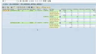 SAP APO Allocation Management Cockpit (AMC) Demo